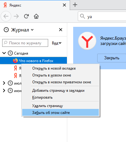 Что необходимо указать в адресной строке браузера для обращения к поисковому серверу